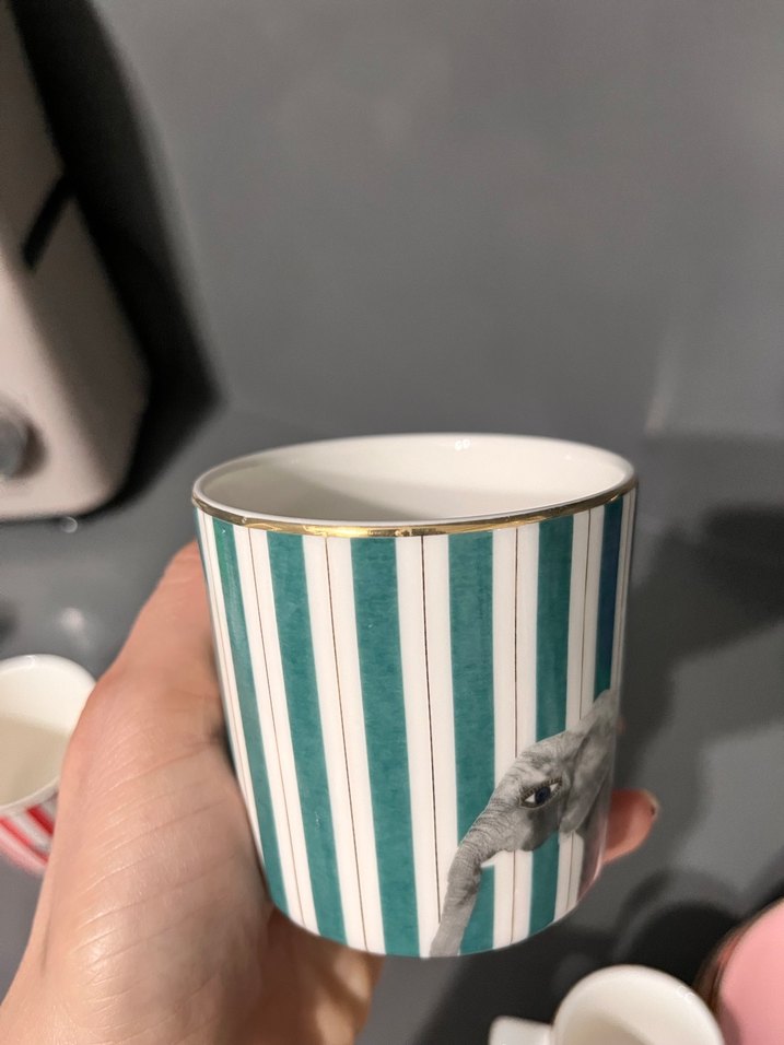 Porland Çizgili Fincan ve Tepsi Seti - Görsel 4