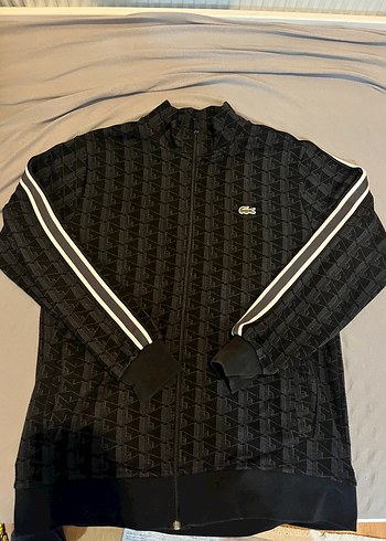 Lacoste Siyah Hirka