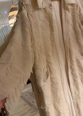 Bebe yaka yapraklı kaban - Görsel 3