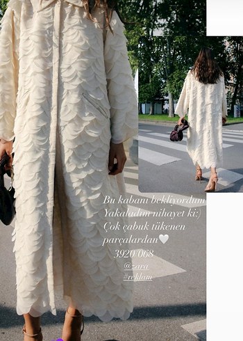 Bebe yaka yapraklı kaban - Görsel 6