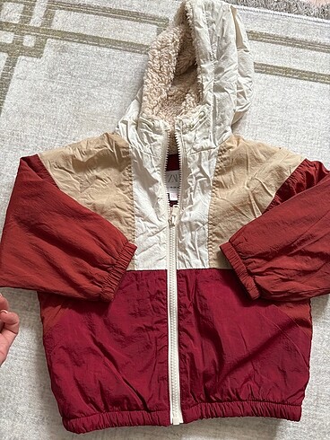 Zara polar