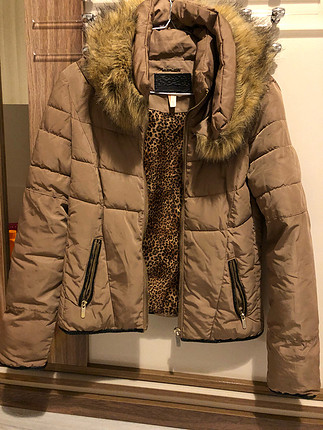 Camel Mont