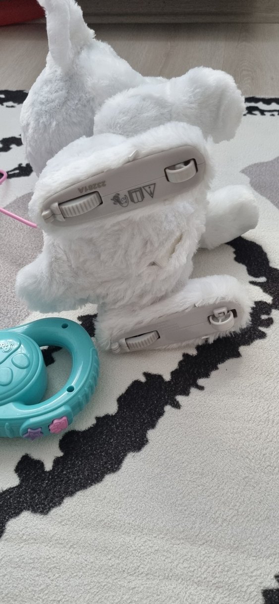 dans eden köpeğim gogo - Görsel 5