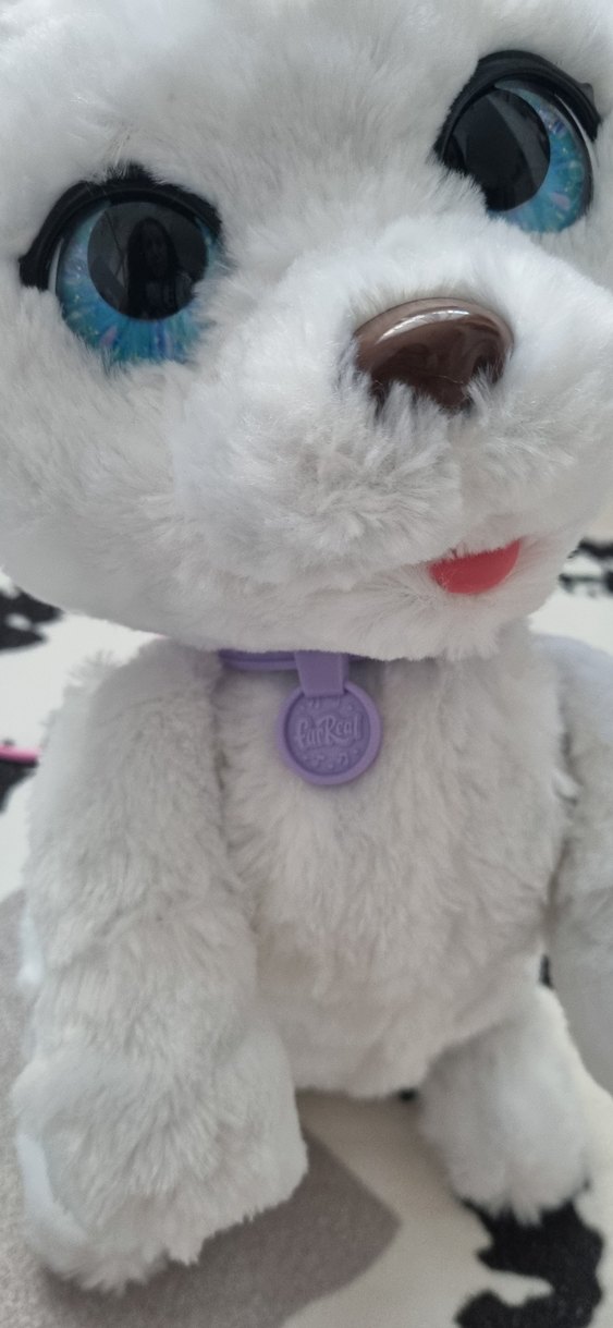 dans eden köpeğim gogo - Görsel 2