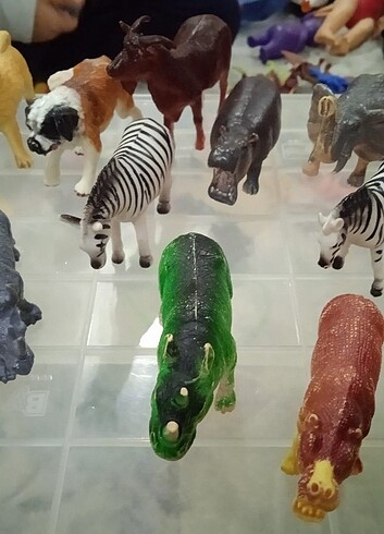 Hayvanlar - Görsel 6