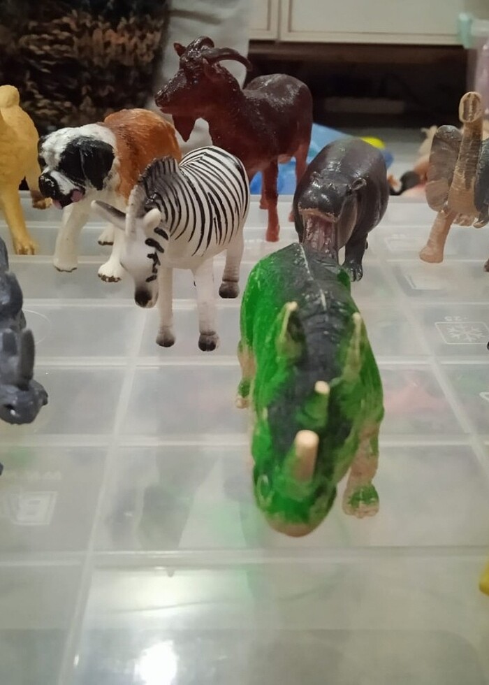 Hayvanlar  - Görsel 2