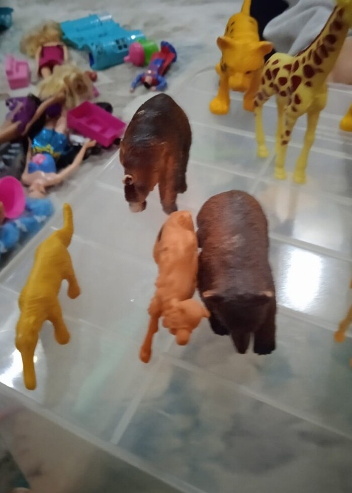 Hayvanlar  - Görsel 3