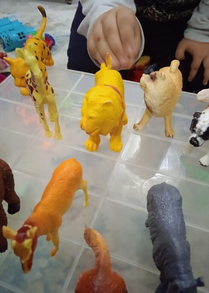 Hayvanlar  - Görsel 4