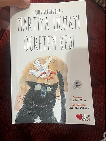 Martıya uçmayı öğreten kedi