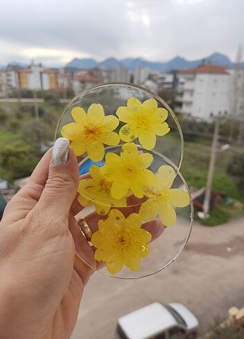  Beden sarı Renk Yasemin çiçeği bardak altligi