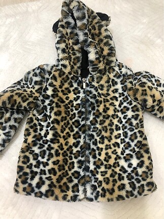 Leopar Mont