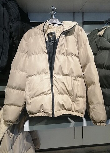 Mont 
