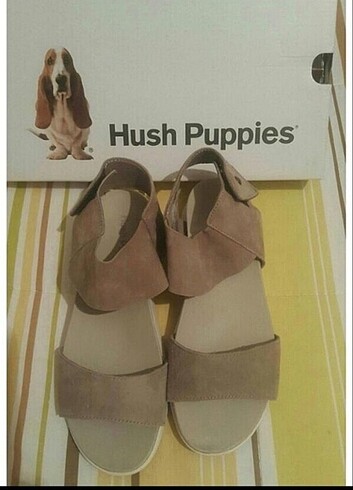 38 Beden Hush puppies