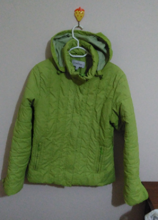 sisme yesil mont