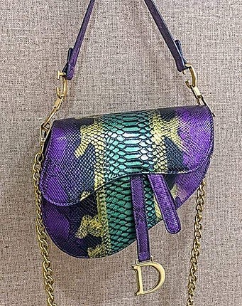 Christian Dior Saddle Bags