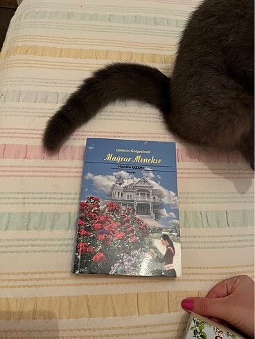 Kitap