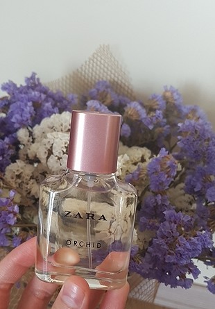 zara orchid
