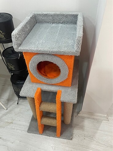 Kedi evi