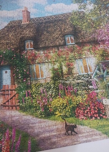 Pazil sorunsuz - Görsel 5