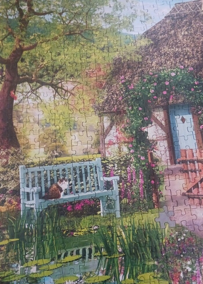 Pazil sorunsuz - Görsel 4