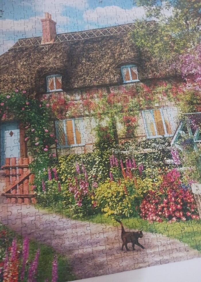 Pazil sorunsuz - Görsel 5