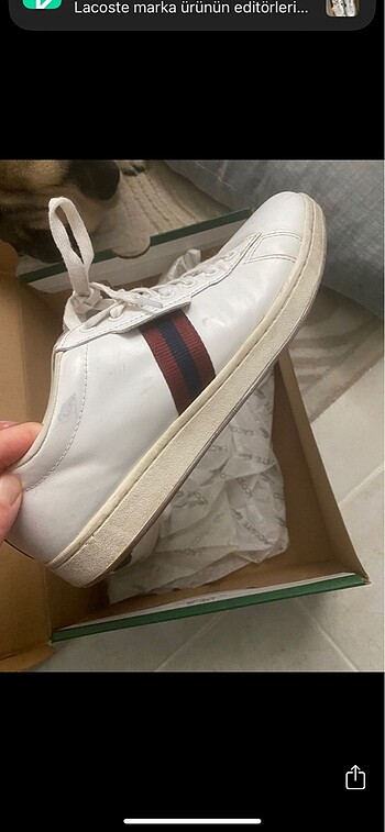 41 Beden Lacoste sneaker