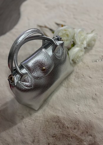 Zara Sik Gumus Mini El Cantasi