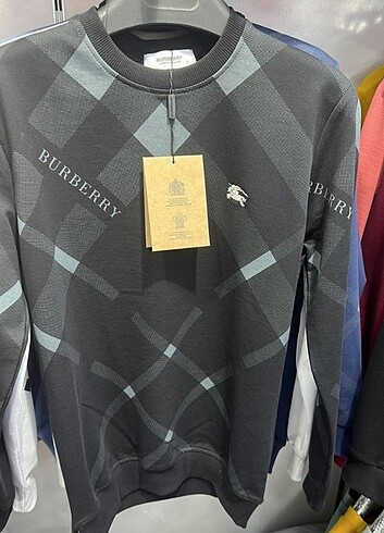 Erkek sweatshirt 