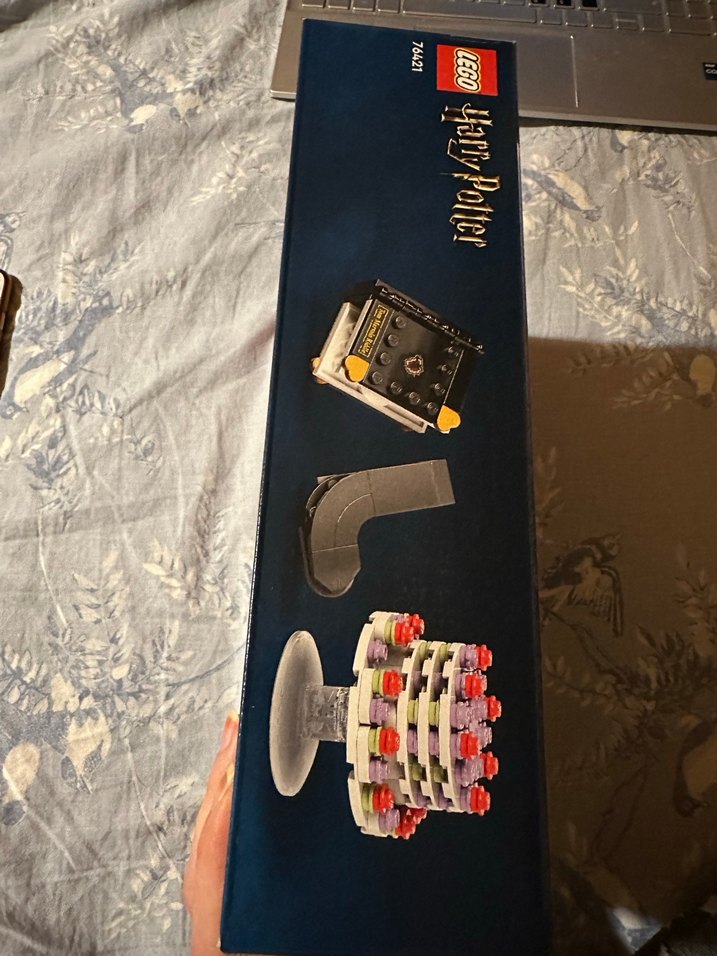 LEGO Harry Potter Dobby Seti 76421 - Görsel 2