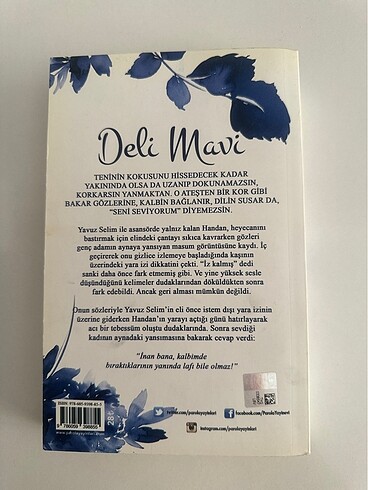 DELİ MAVİ - ASLI GENÇ GÜRIŞIK - Görsel 2