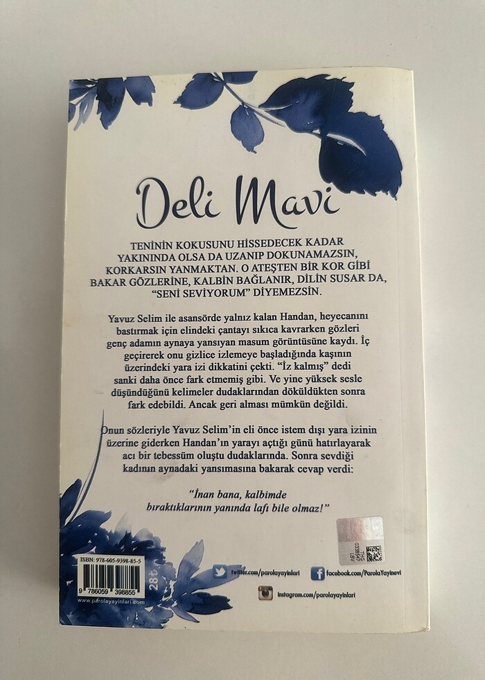 DELİ MAVİ - ASLI GENÇ GÜRIŞIK - Görsel 2