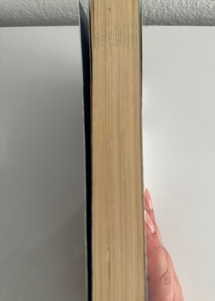 DELİ MAVİ - ASLI GENÇ GÜRIŞIK - Görsel 3