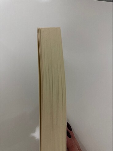 UĞULTULU TEPELER - EMILY BRONTE - Görsel 3