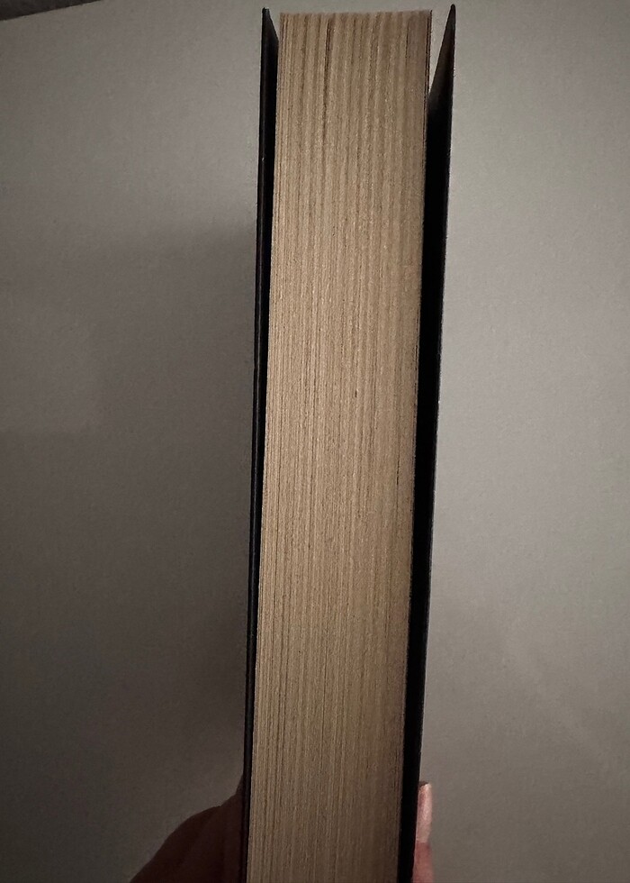 SİYAH KUĞU II - BEYZA AKSOY - Görsel 3