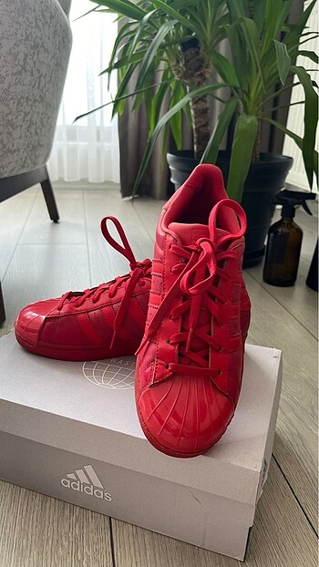 Adidas ADİDAS Superstar Ayakkabı