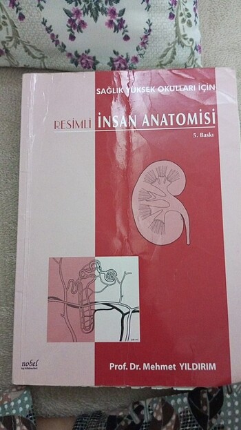 Anatomi kitabı 