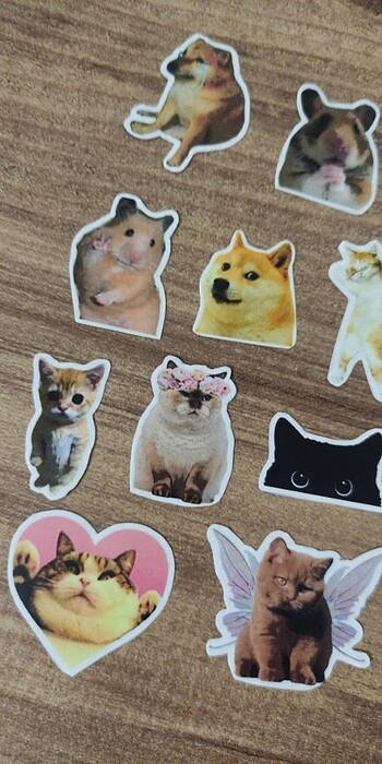 Kedi çıkartma
