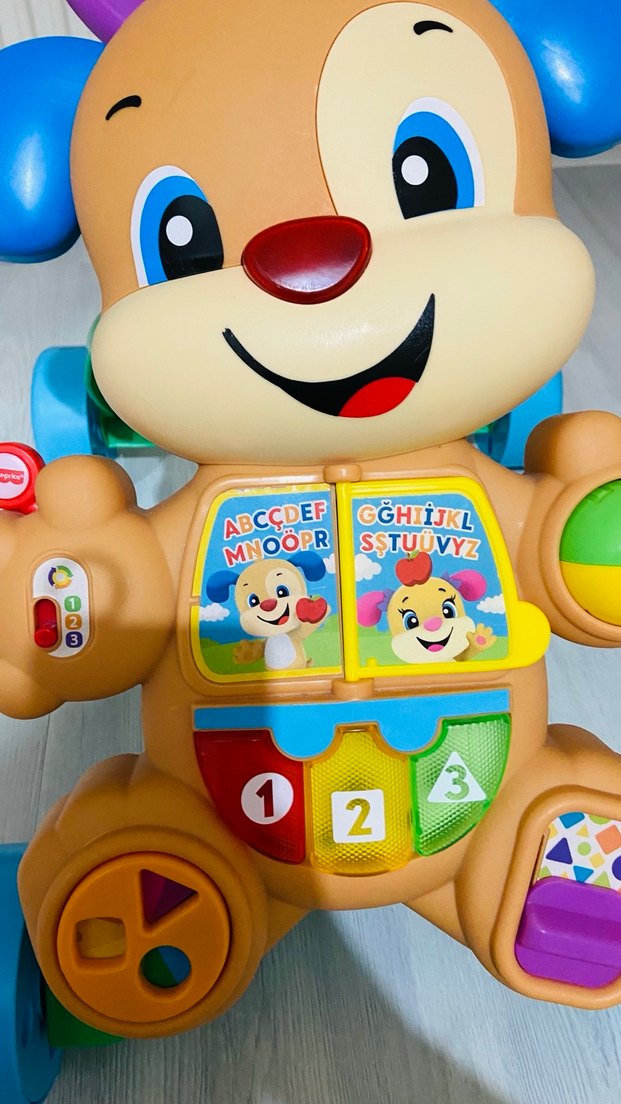 Kutulu Yürüyüş Arabası Oyuncak - Görsel 2