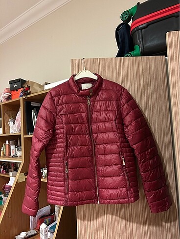 Koton mont