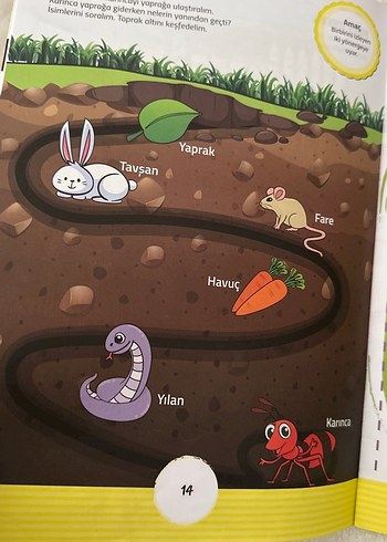 Çocuklar için Dil ve Dikkat Etkinlik Kitapları