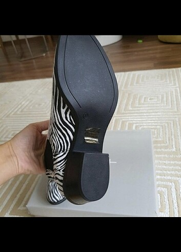 37 Beden Zebra desen hotic bot