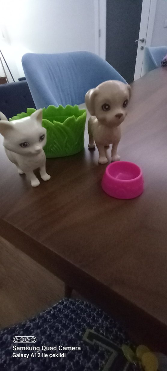 barbie hayvanları - Görsel 3