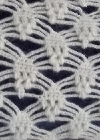 Kadın Beyaz Örgü Dantel Detaylı Şal - Görsel 2