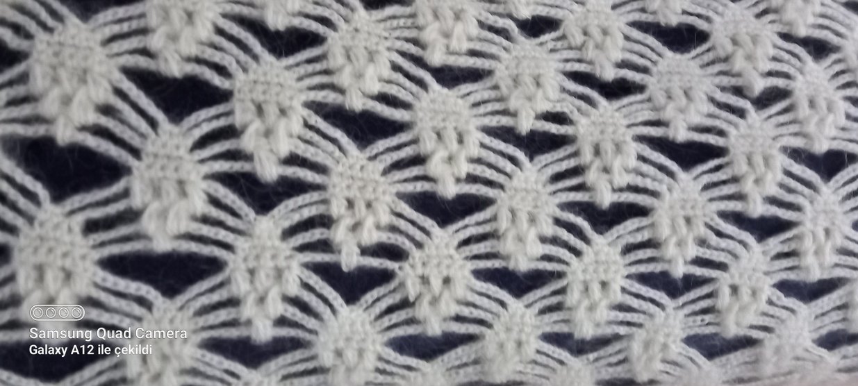 Kadın Beyaz Örgü Dantel Detaylı Şal - Görsel 2