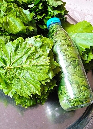 Diğer Kuru basım asma şişede 1 lt 