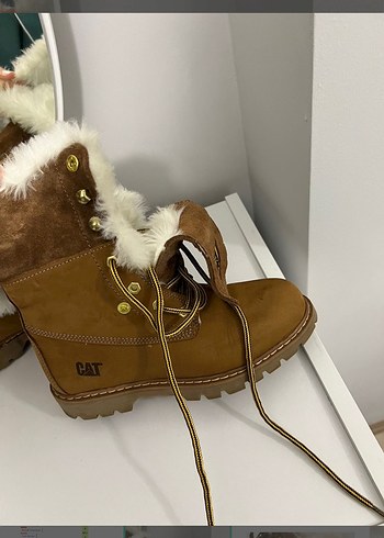 Cat Kahverengi Suet Bilek Bot