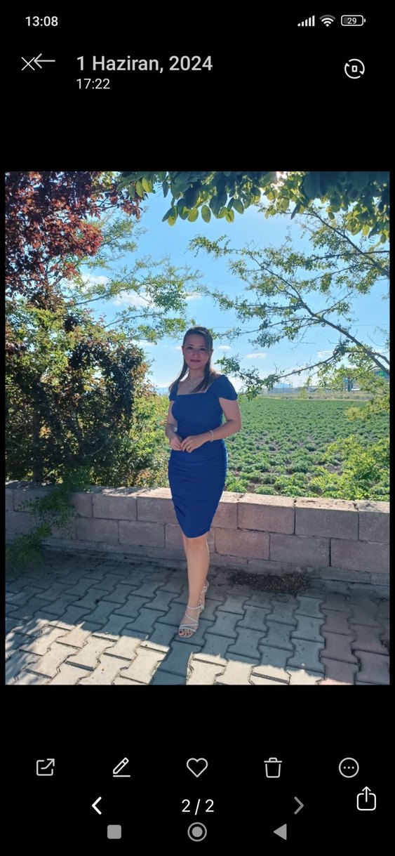 Mavi Pilili Uzun Kadın Kalem Elbise - Görsel 2