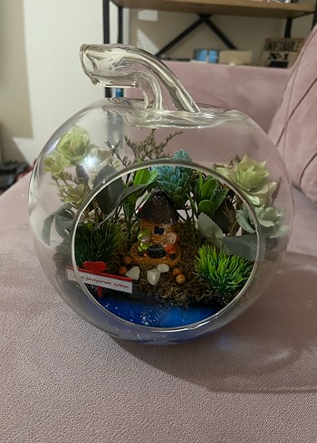 Cam Fanus İçinde Minyatür Bahçe ve Mavi Detaylar - Görsel 3