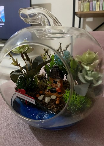 Cam Fanus İçinde Minyatür Bahçe ve Mavi Detaylar - Görsel 4