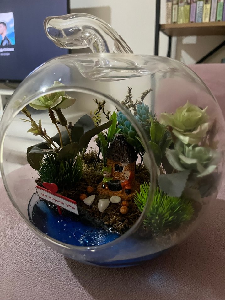 Cam Fanus İçinde Minyatür Bahçe ve Mavi Detaylar - Görsel 4